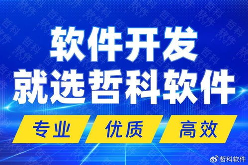 解碼技術(shù)開發(fā)新高度 國內(nèi)頂尖軟件開發(fā)公司的核心優(yōu)勢(shì)與市場制勝之道